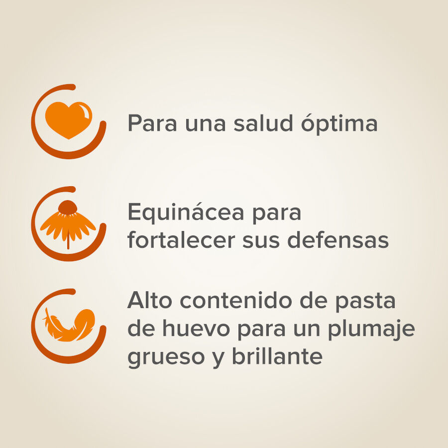 Beaphar XtraVital Premium Loros alimento para p&aacute;jaros, , large indicador imagen numero 4