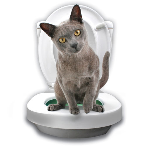 Litter Kwitter Kit WC Anillos Iniciaci&oacute;n para gatos