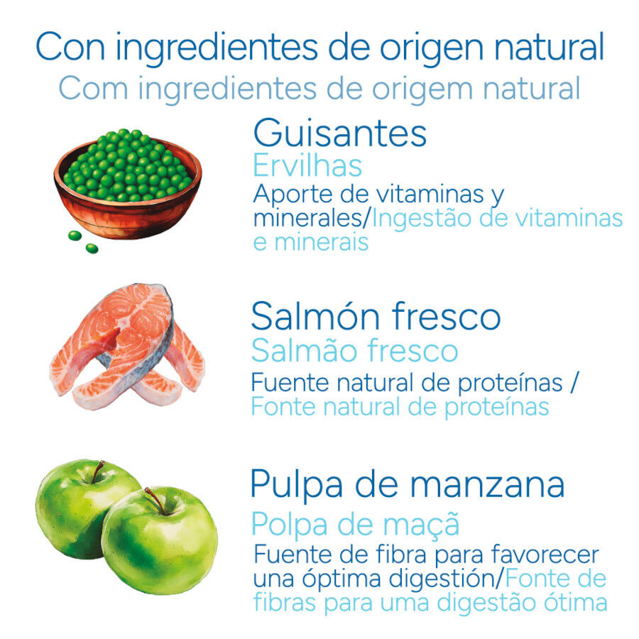 3 kg Criadores Cient&iacute;fico Sensitive Adulto Mini Pienso Salm&oacute;n para perros, , large Imagen numero 5