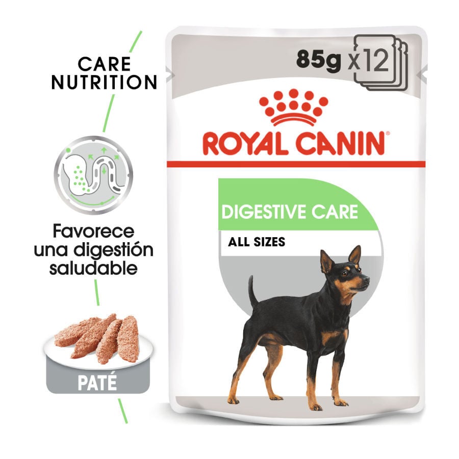 85 g Royal Canin Digestive Care Pat&eacute; sobres para perros, , large Imagen numero 2
