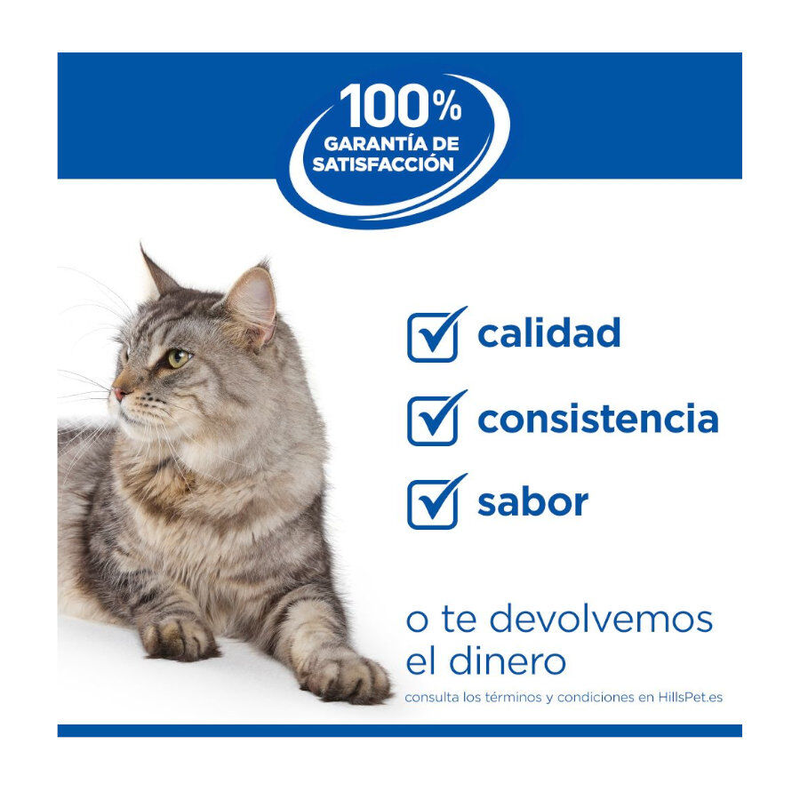 12 latas x 85 g Hill's Prescription Diet I/D Digestive Care Kitten Lata Pollo para gatos, , large indicador imagen numero 7