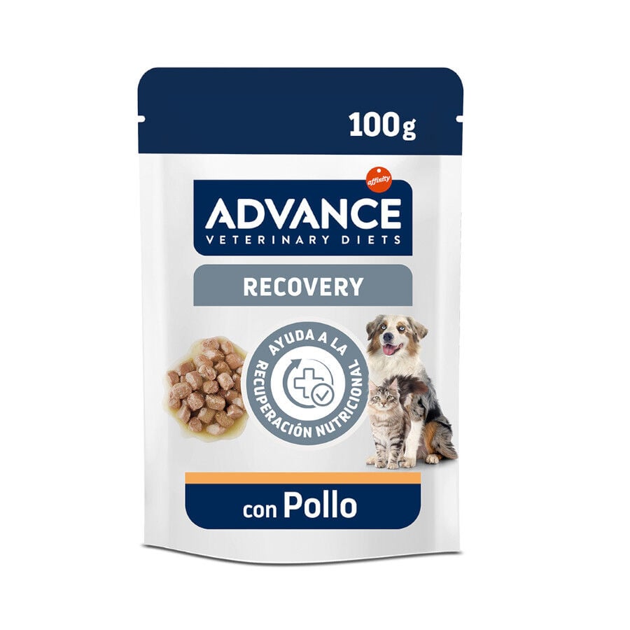 100 g Advance Recovery Sobre para perros y gatos, , large indicador imagen numero 1