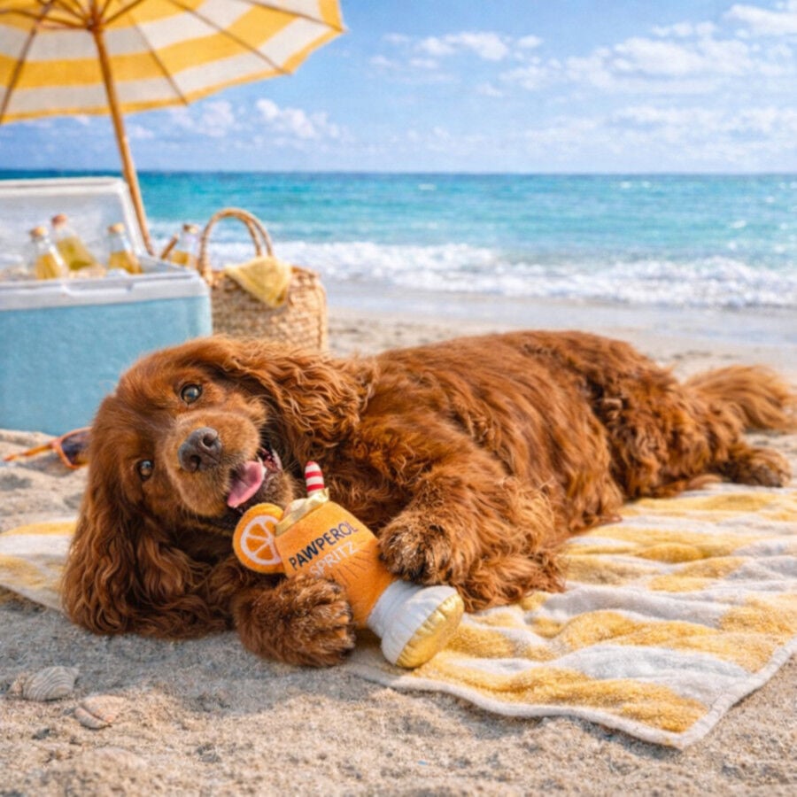 Summer Vibes Pawperol Spritz Peluche Juguete para perros, , large indicador imagen numero 1
