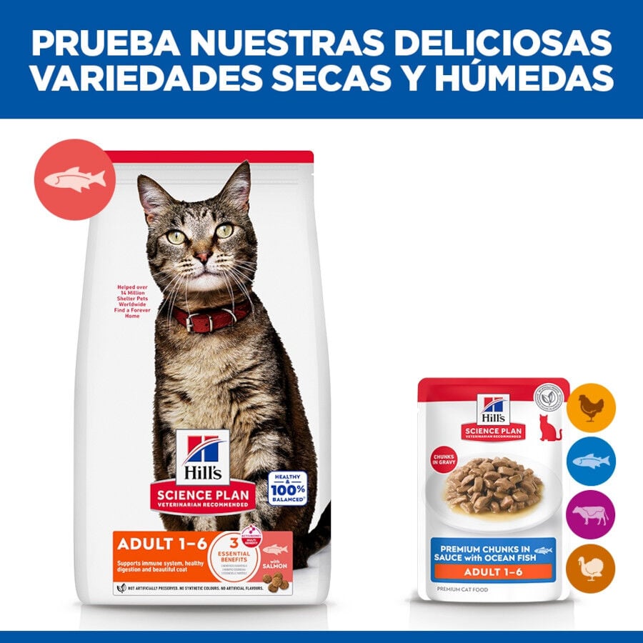 85 g Hill's Science Plan Adult Pescado sobre para gatos, , large indicador imagen numero 6