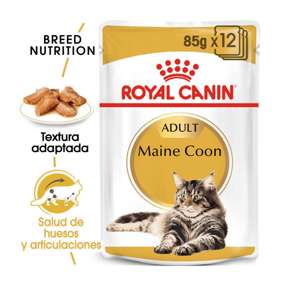 85 g Royal Canin Maine Coon sobres para gatos, , large indicador imagen numero 2