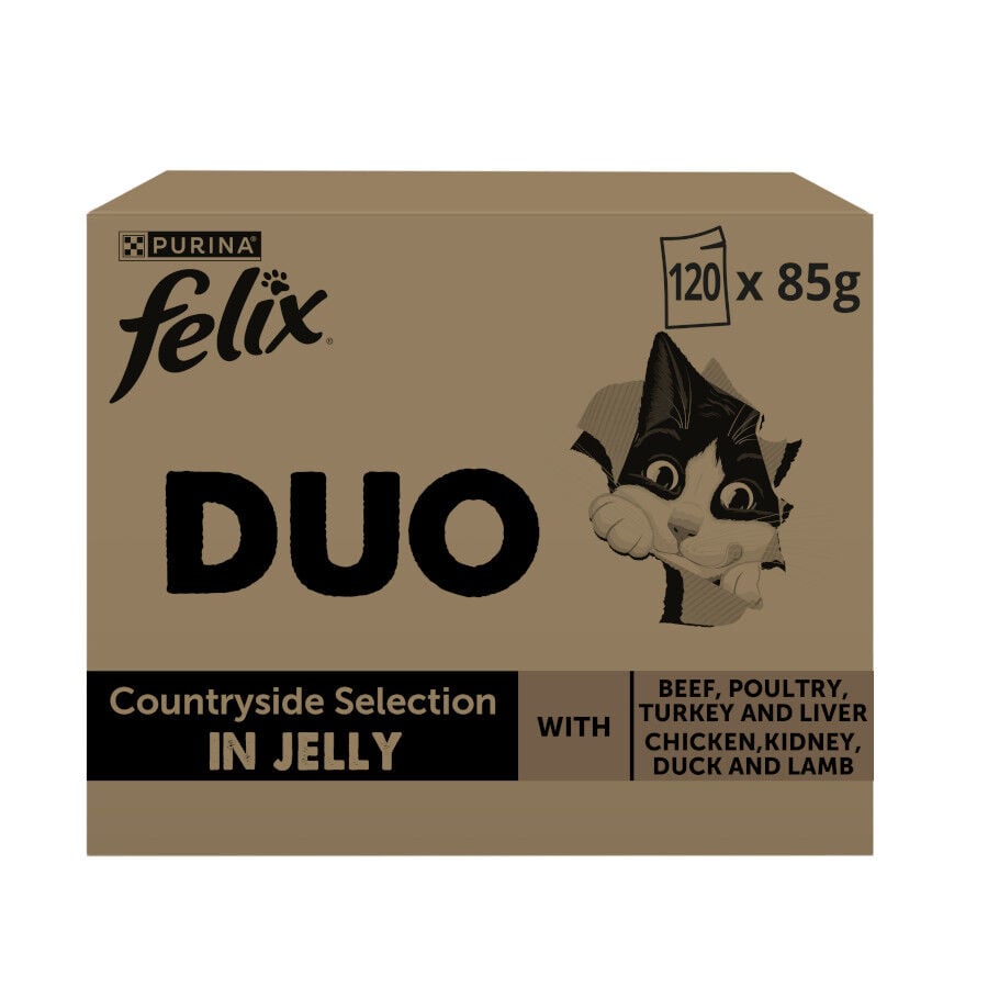 120 sobres x 85 g Felix Duo Mix Carne Gelatina sobre para gatos, , large indicador imagen numero 1