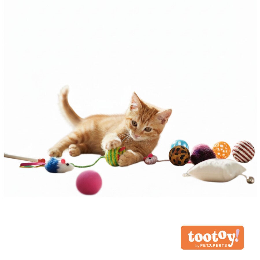 Tootoy! Caja con Juguetes Interactivos para gatos, , large Imagen numero 3