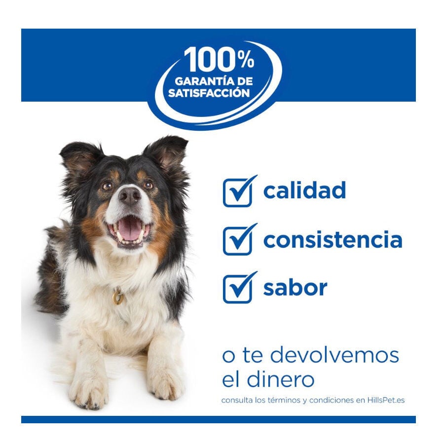 6 kg Hill's Science Plan Perfect Weight Adult Small y Mini pienso para perros, , large indicador imagen numero 9
