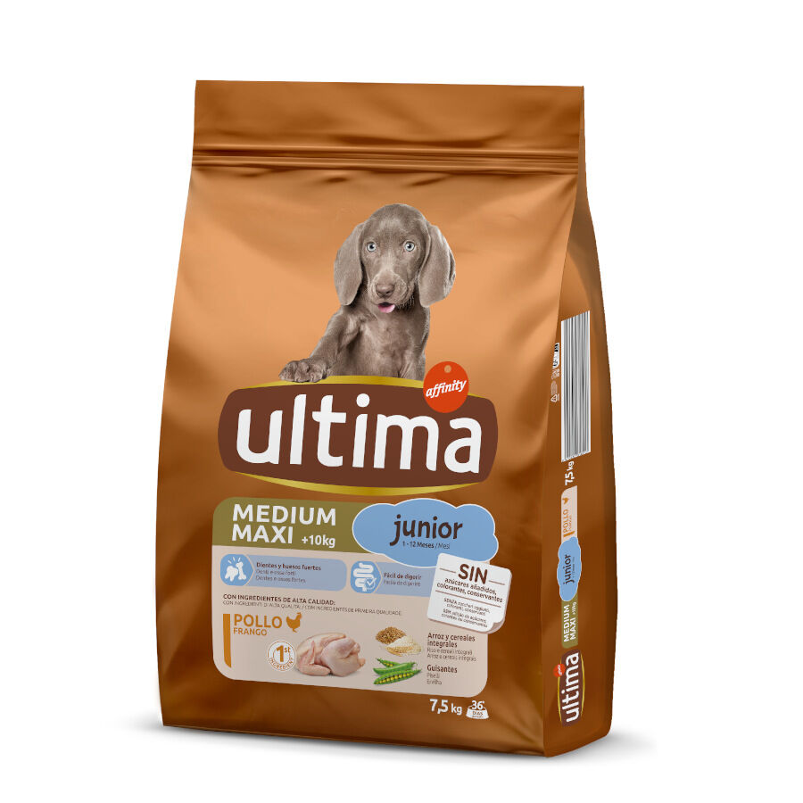 pienso_perros_ultima_junior_med_max_7-5kg_ULT604419_M.jpg Imagen numero 1