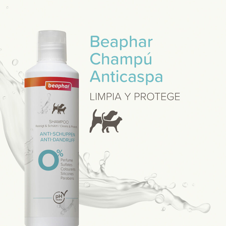 Beaphar Champ&uacute; Anticaspa para perros y gatos, , large indicador imagen numero 2