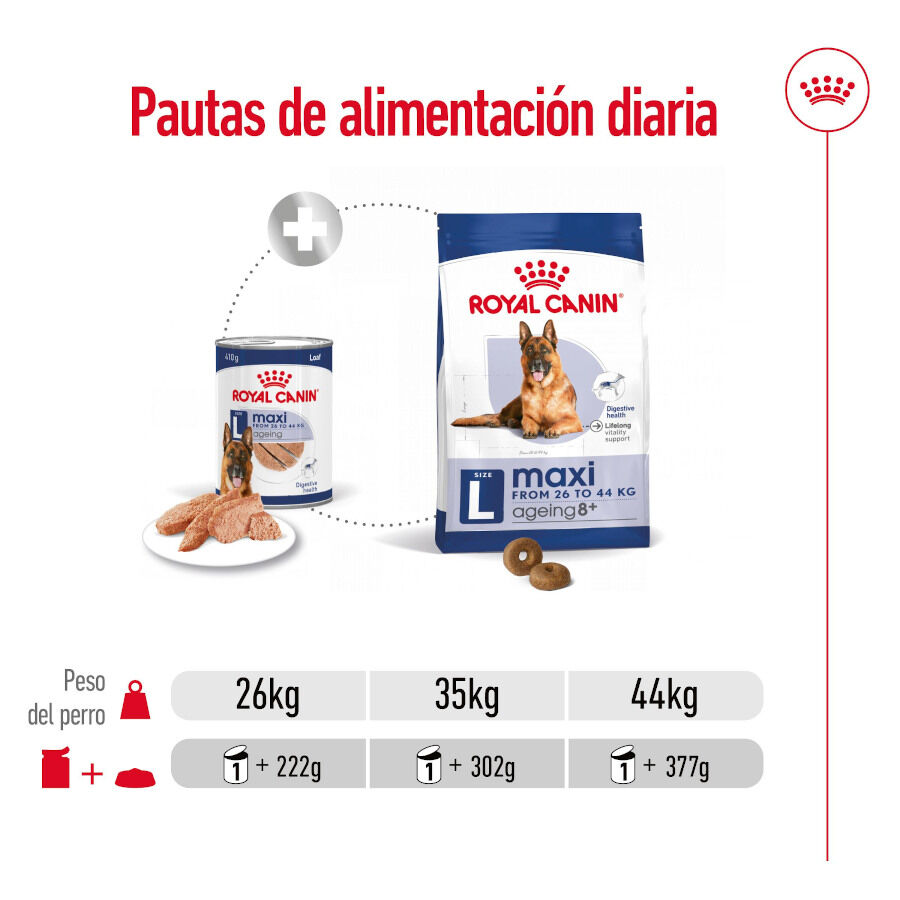 410 g Royal Canin Maxi Ageing 5+ Pat&eacute; lata para perros&nbsp;senior, , large Imagen numero 6