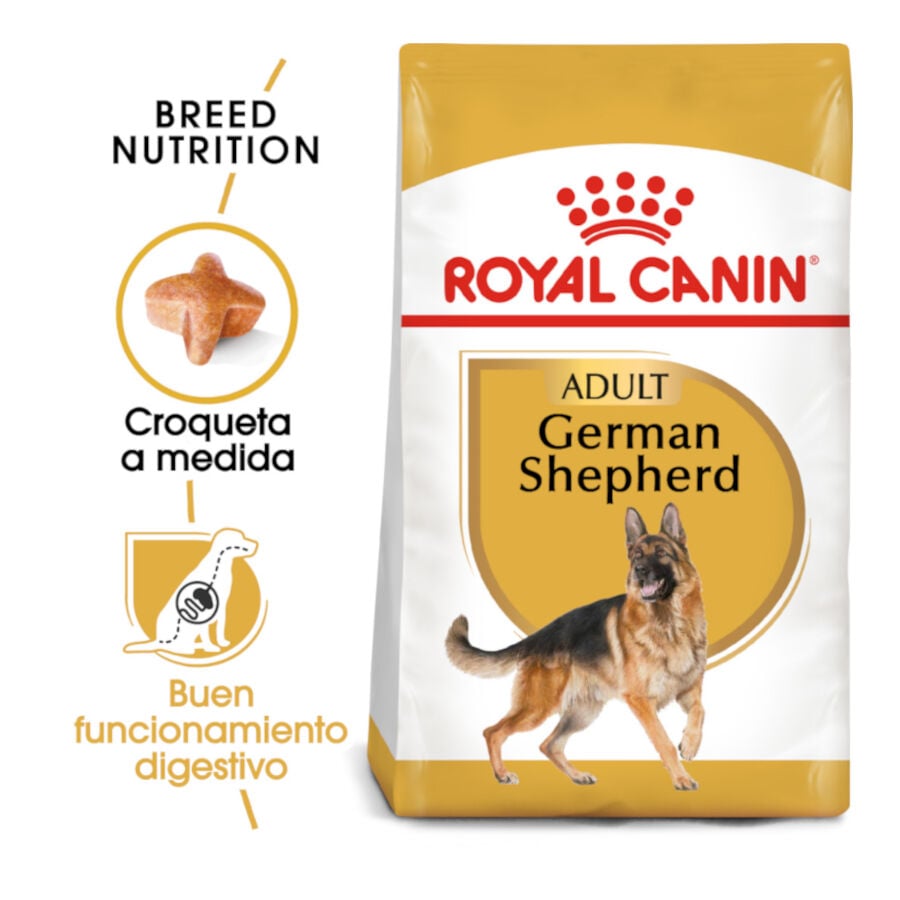 11 kg Royal Canin Adult Pastor Alem&aacute;n pienso para perros, , large Imagen numero 2