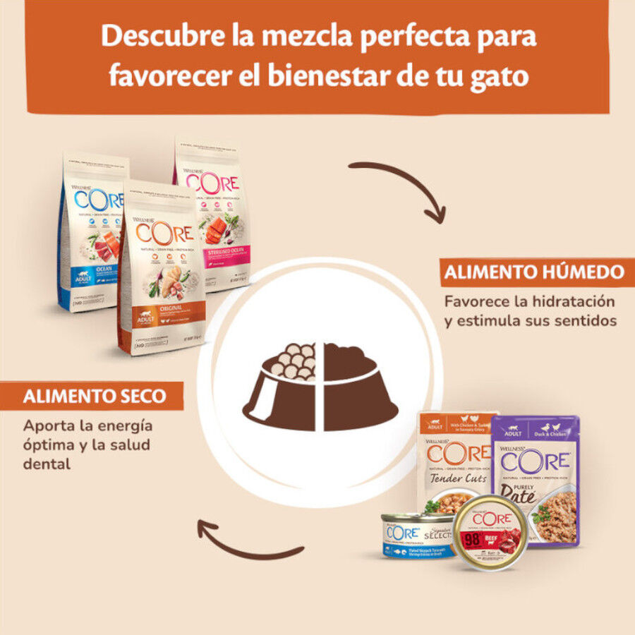 85 g Wellness Core Tender Cuts salm&oacute;n y at&uacute;n sobre en salsa para gatos, , large Imagen numero 5