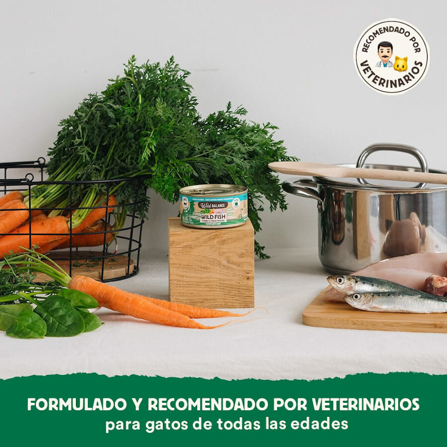 120 g Wild Balance BARF Pescado y Pavo lata para gatos, , large Imagen numero 4