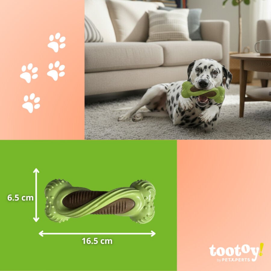 Tootoy! Hueso Mordedor Dental Verde y Marr&oacute;n para perros, , large indicador imagen numero 4