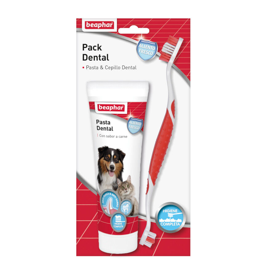 Beaphar Kit Dental para perros, , large indicador imagen numero 1