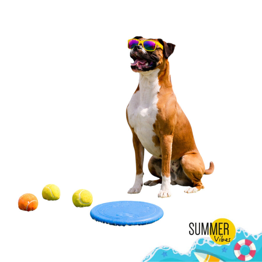 Summer Vibes Frisbee con Pelota Juguete Azul para perros, , large indicador imagen numero 7