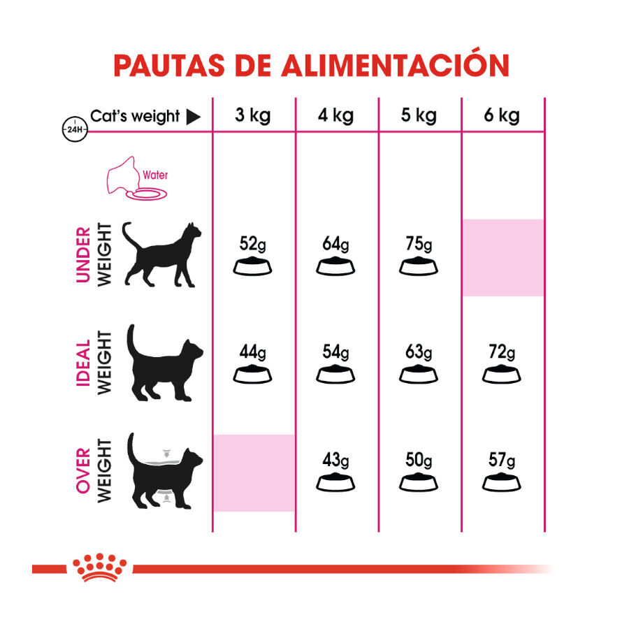 10 kg Royal Canin Regular Fit 32 pienso para gatos, , large Imagen numero 6