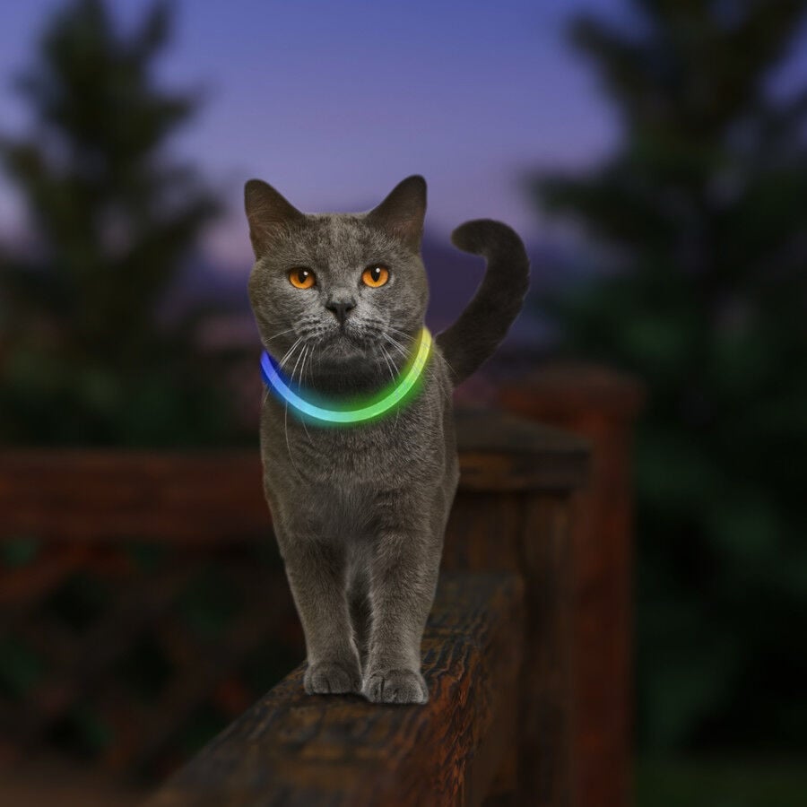 Nite Ize NiteMeow Collar de Seguridad LED para gatos
