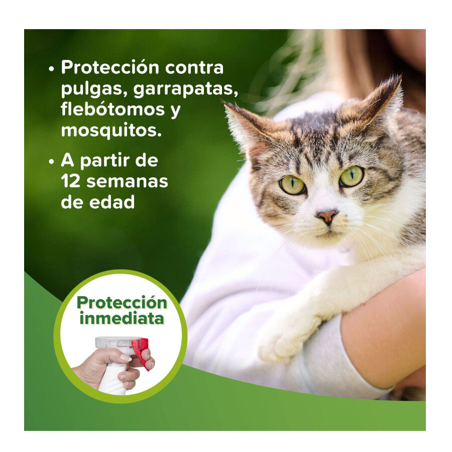 Beaphar Loci&oacute;n Repelente Perro y Gato, , large indicador imagen numero 4
