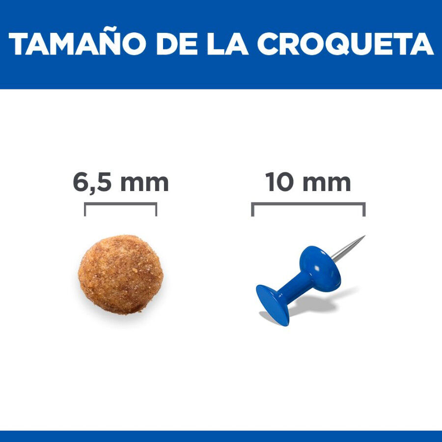 1.5 kg Hill's Urinary Pollo pienso para gatos, , large indicador imagen numero 4