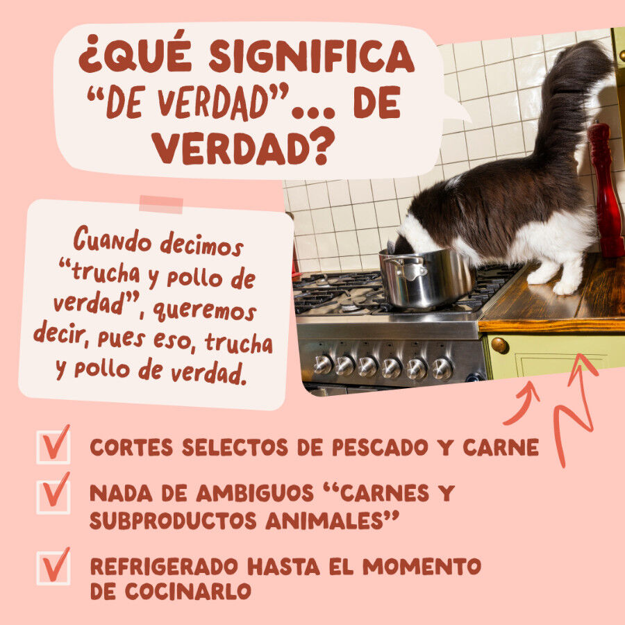 85 g Edgard & Cooper Trucha y Pollo sobre en salsa para gatos, , large indicador imagen numero 5