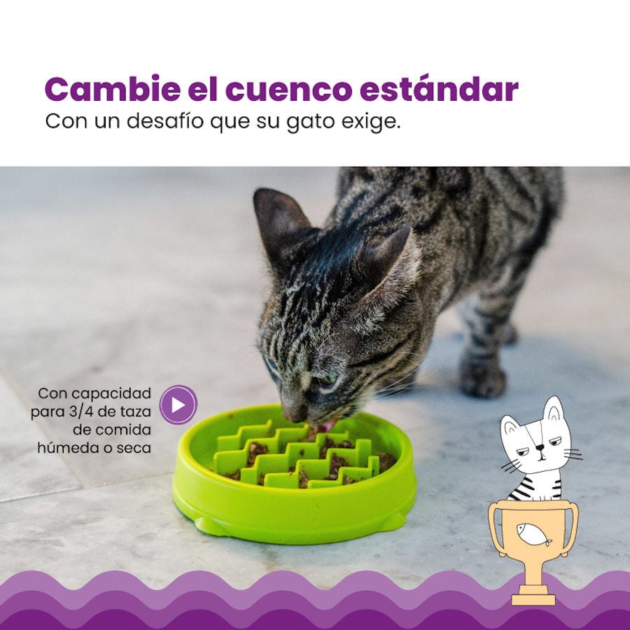 Catstages Cat Fun Comedero Lento Verde para gatos, , large Imagen numero 6
