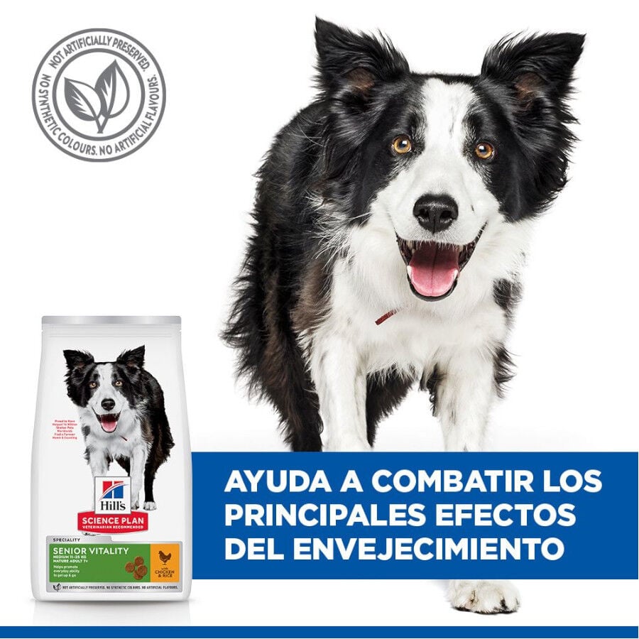 14 kg Hill's Science Plan Youthful Vitality Medium Adult Pollo&nbsp;pienso para perros, , large indicador imagen numero 6