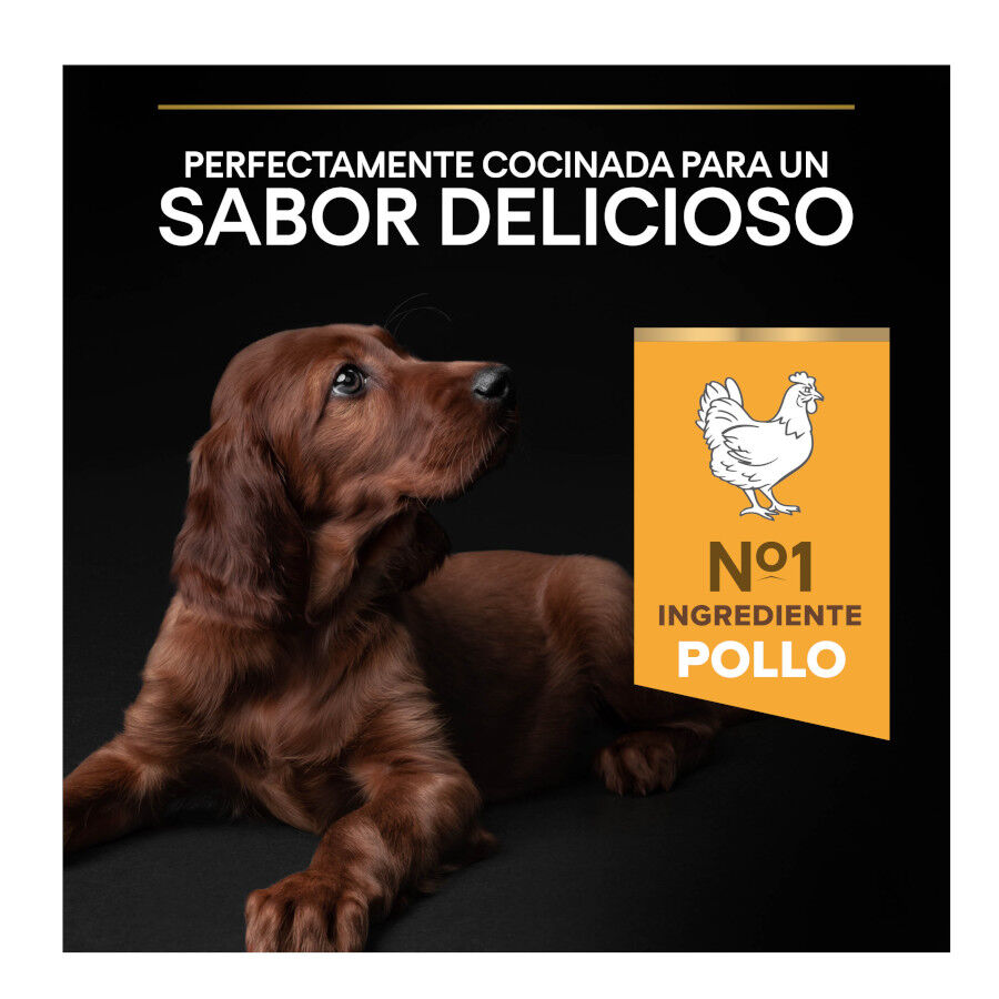 12 kg Pro Plan Puppy Large Athletic Pollo pienso para perros, , large indicador imagen numero 5