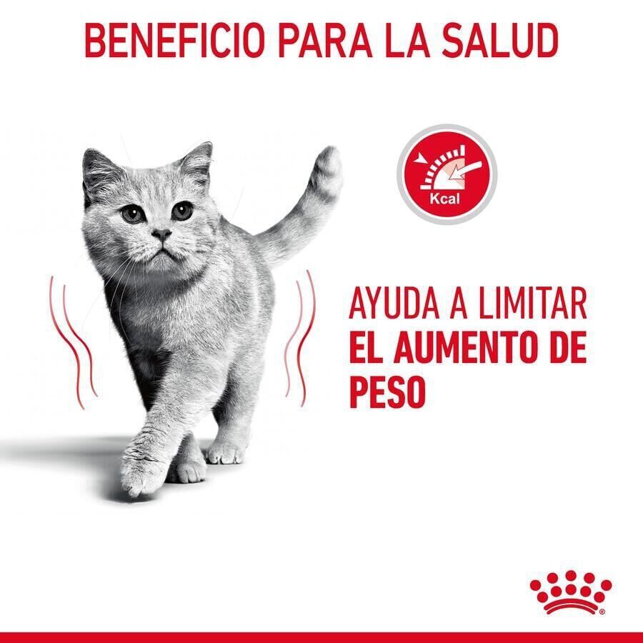 8 kg Royal Canin Adult Light Weight Care pienso para gatos, , large indicador imagen numero 6