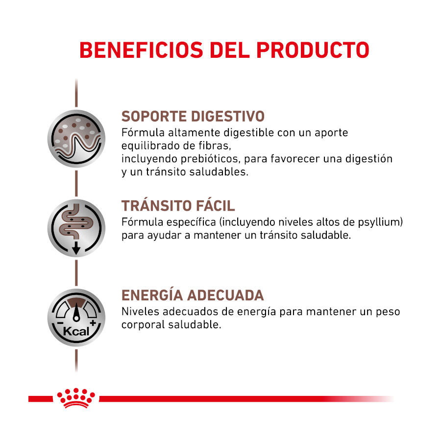 4 kg Royal Canin Veterinary Gastrointestinal Fibre Response pienso para gatos, , large Imagen numero 3