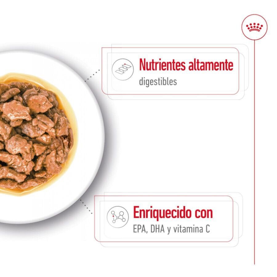 85 g Royal Canin X-Small Adult sobres en salsa para perros, , large indicador imagen numero 3