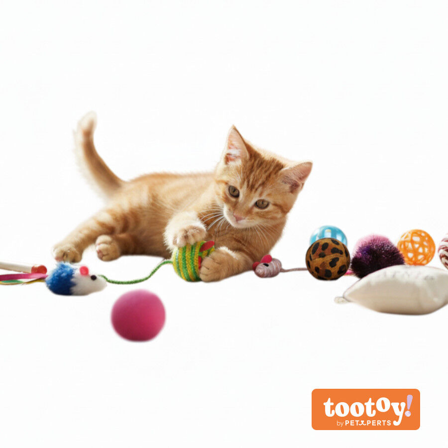 Tootoy! Pelotas de Colores para gatos