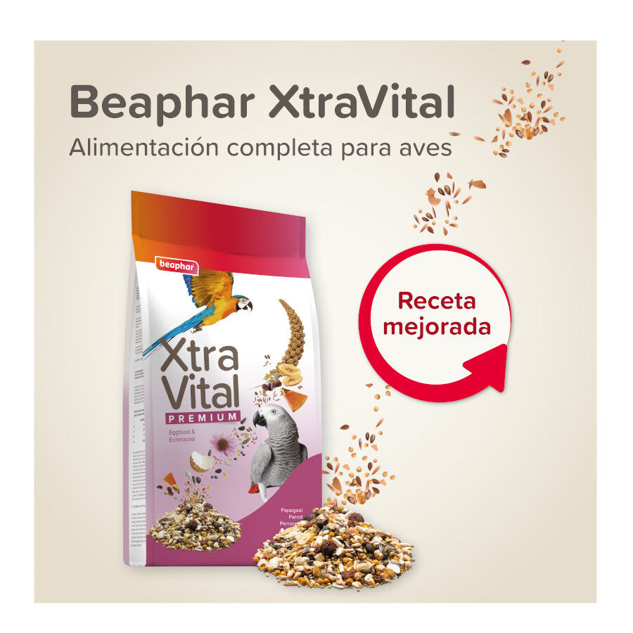 Beaphar XtraVital Comida para loros, , large Imagen numero 2