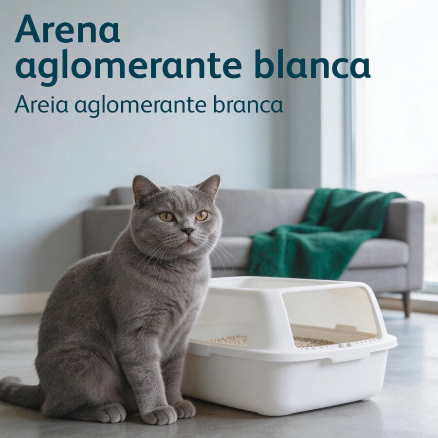 Nova Clean Ultra Natural Arena Aglomerante para gatos, , large indicador imagen numero 6