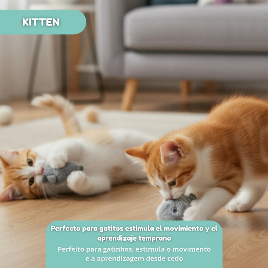 Tootoy! Rat&oacute;n Interactivo con Zumbido para gatitos, , large indicador imagen numero 5