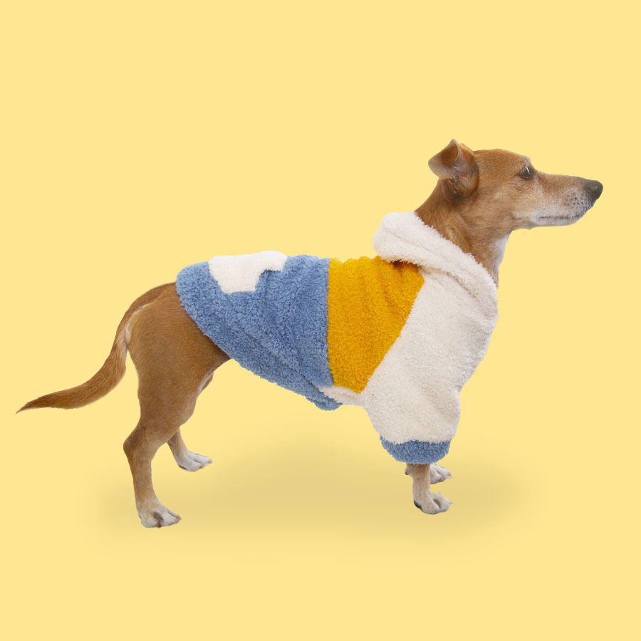 Outech Colorblock Pijama para perros, , large Imagen numero 2
