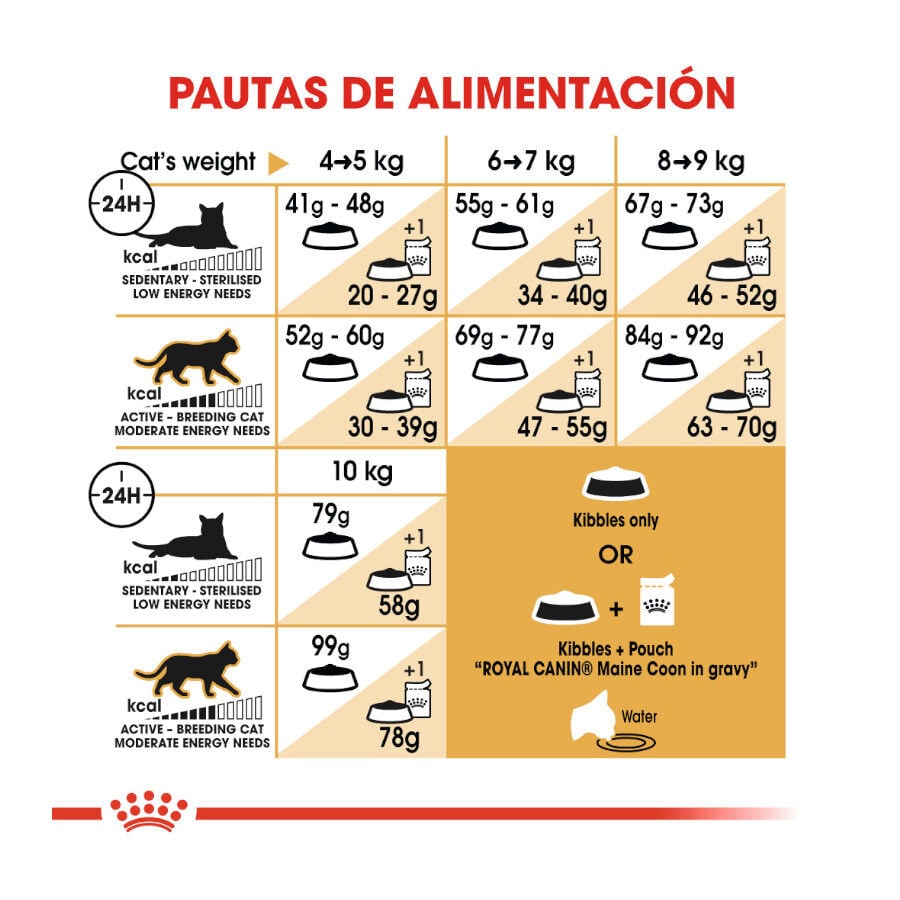10 kg Royal Canin Adult Maine Coon pienso para gatos, , large indicador imagen numero 7