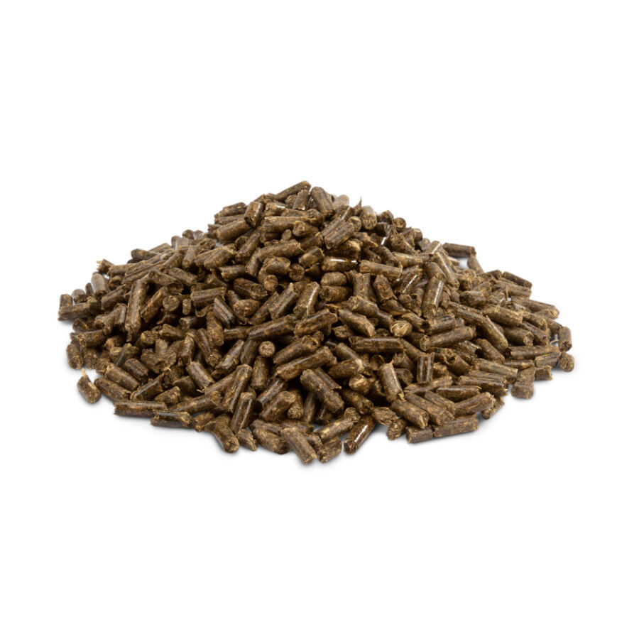 2 kg Versele-Laga Cripsy Pellets Pienso para cobayas, , large Imagen numero 3