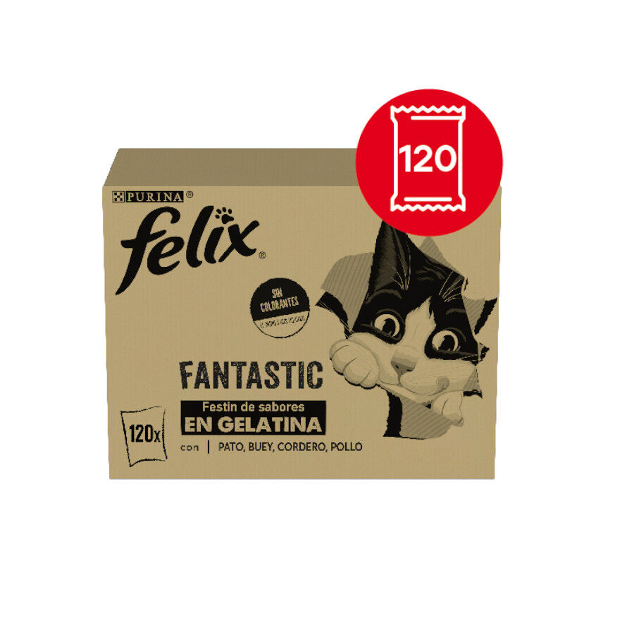 120 sobres x 85 g Felix Fantastic Selecciones Favoritas de Carnes en Gelatina sobre para gatos &ndash; Multipack, , large Imagen numero 2