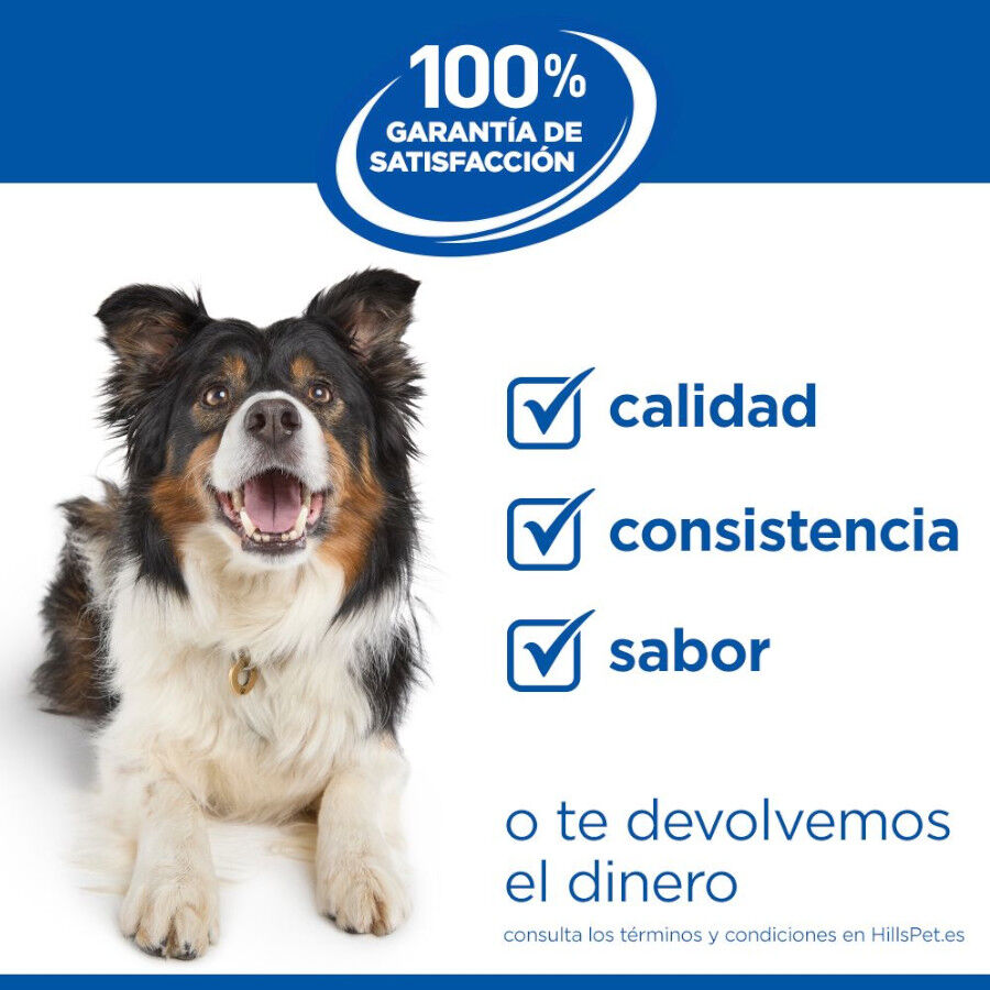 6 kg Hill's Science Plan Puppy Small y mini Cordero y arroz para perros, , large Imagen numero 10
