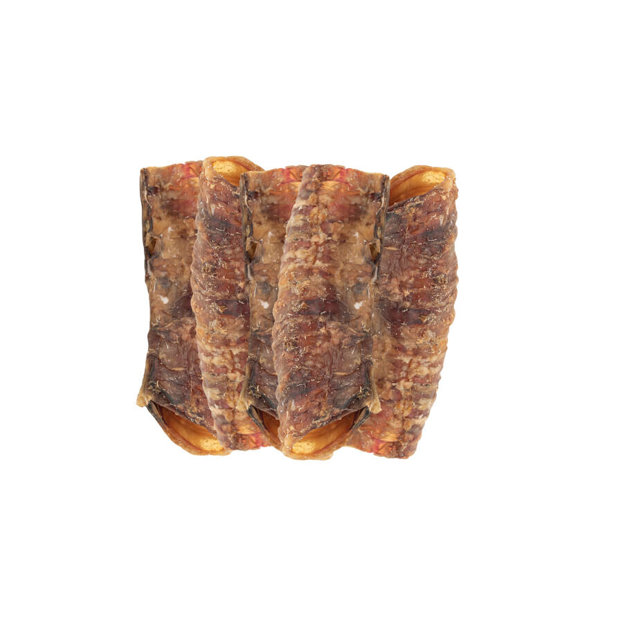 Pack 5 uds. True Origins Wild Tr&aacute;quea Cerdo Snack para perros, , large indicador imagen numero 3