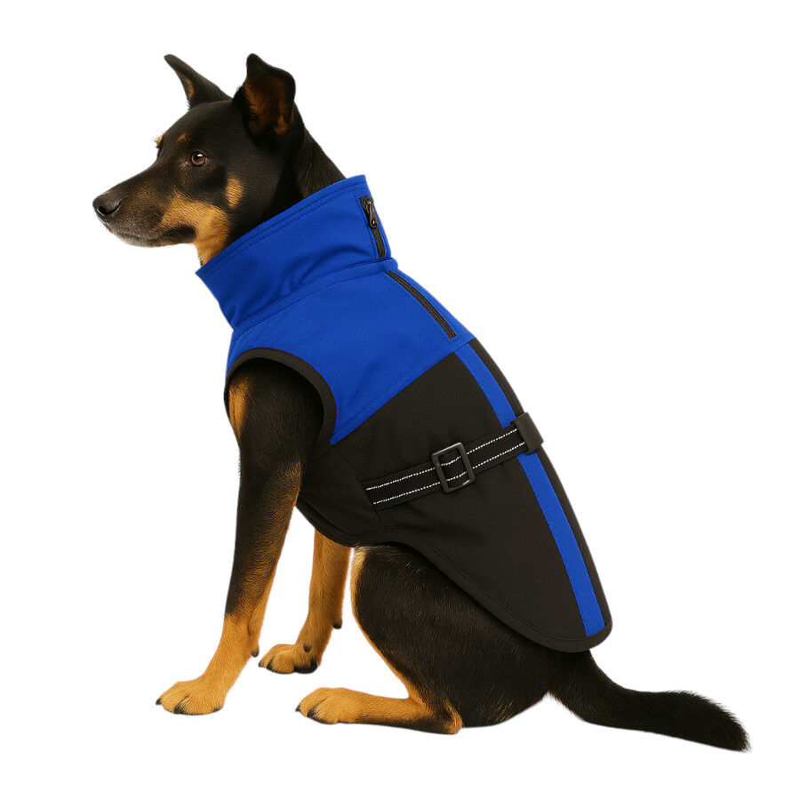 Outech Abrigo Azul para perros, , large indicador imagen numero 1