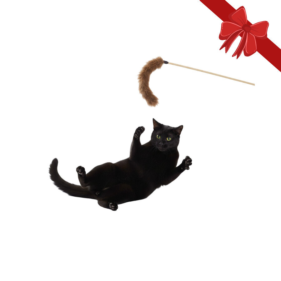 Wonder Christmas Juguete de Ca&ntilde;a Navide&ntilde;o para gatos, , large Imagen numero 1