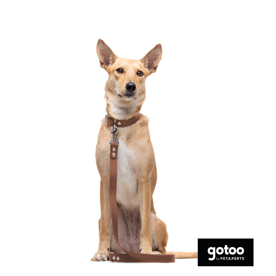 Gotoo Collar Biothane marr&oacute;n para perros, , large Imagen numero 6