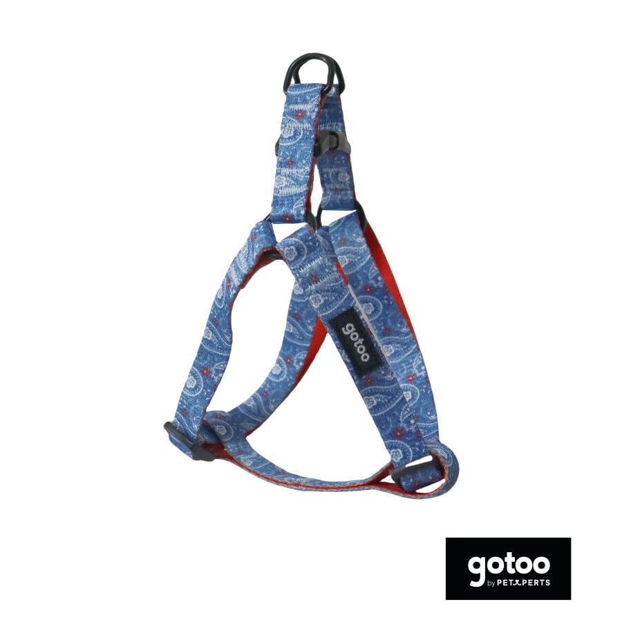 Gotoo Arn&eacute;s estampado cachemira azul para perros, , large indicador imagen numero 2