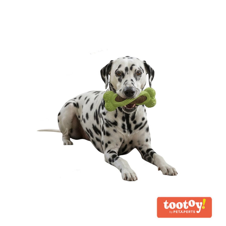 Tootoy! Hueso Mordedor Dental Verde y Marr&oacute;n para perros