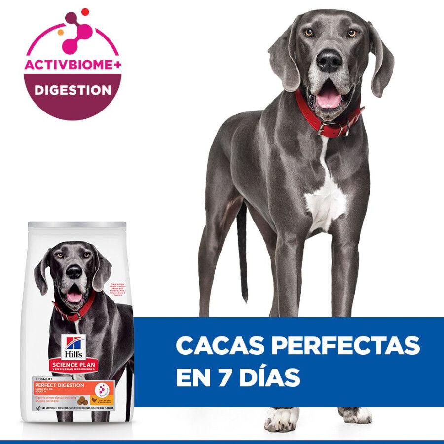 14 kg Hill's Science Plan Perfect Digestion Adult large Pollo pienso para perros, , large Imagen numero 6