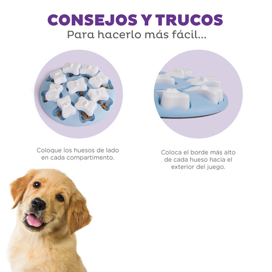 Outward Hound Puppy Smart Rompecabezas para perros, , large Imagen numero 5