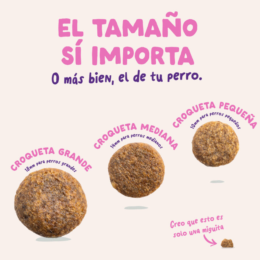 7 kg Edgard & Cooper Remolacha y Calabaza pienso para perros, , large indicador imagen numero 5